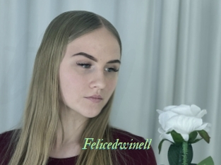 Felicedwinell