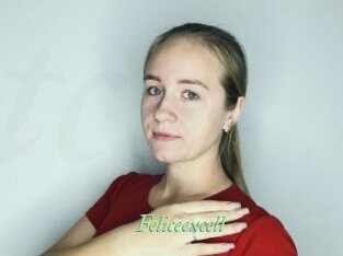 Feliceexcell