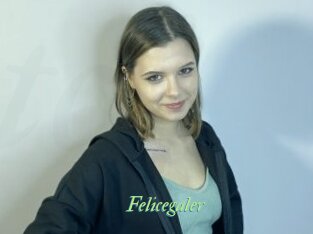 Felicegaler