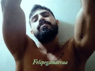 Felipegamarraa