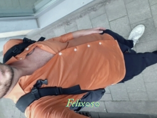 Felix050