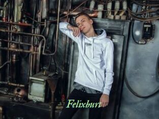 Felixburt