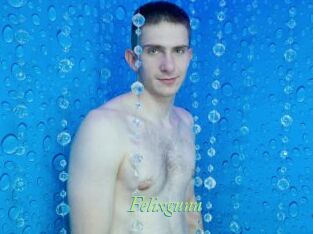 Felixgunn
