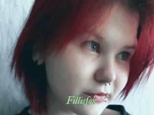 fillisfox Tel Coquin