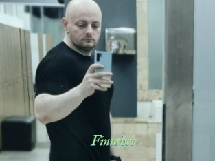 Finntheo
