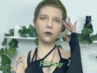 Flairfudge