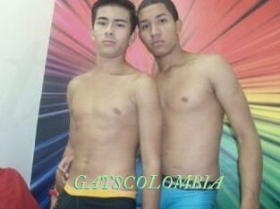 GAYS_COLOMBIA