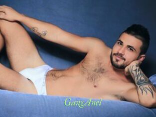 GangAnel