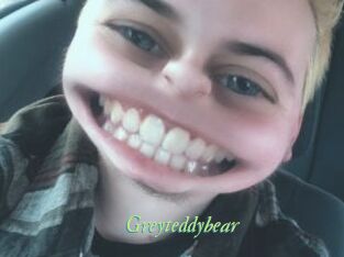 Greyteddybear