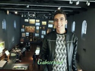 Gabosexual