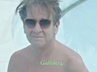 Galloboy4