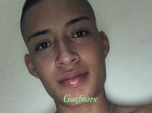 Garfiosex