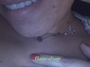 Gatasalvaje
