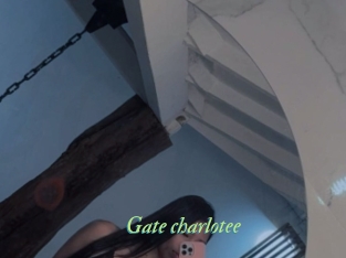 Gate_charlotee