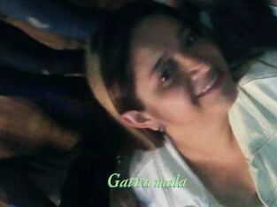 Gatita_mala