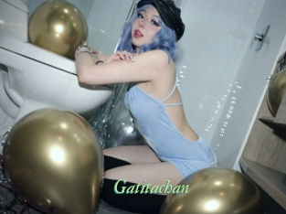 gatitachan Tel Coquin