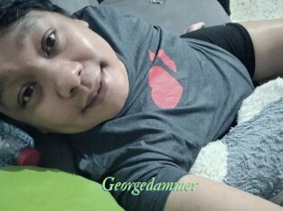 Georgedammer