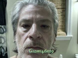 Gizmo46n29