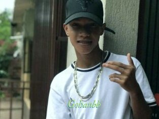 Gohanbb