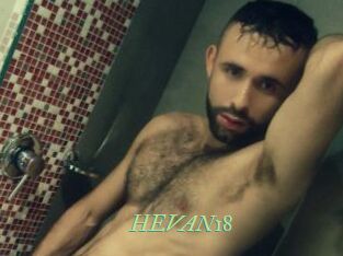 HEVAN18