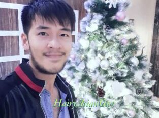 HairyAsianGuy