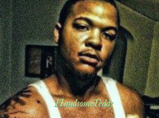 HandsomeTeddy