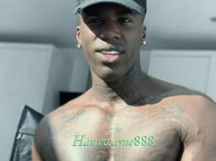 Hanswayne888