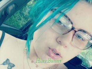 HareBunny