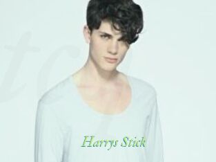 Harrys_Stick