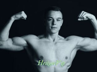HeilgarVip