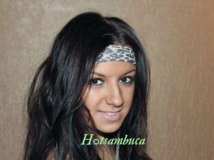 H0tsambuca