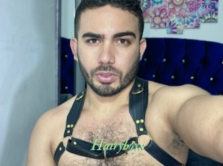 hairyboyx Tel Coquin