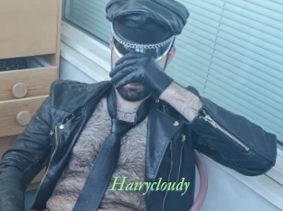 Hairycloudy