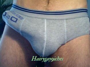 Hairygay9iches