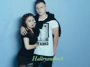 Halleyandbuck
