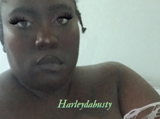 Harleydabusty