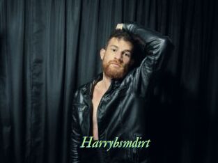Harrybsmdirt