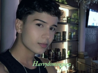Harrydominguez