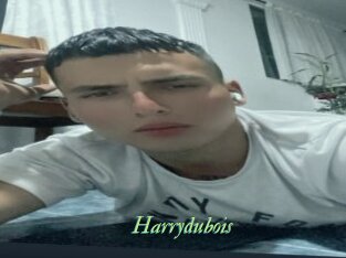 Harrydubois
