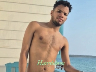 Harrylebron