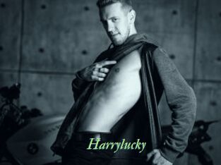 Harrylucky