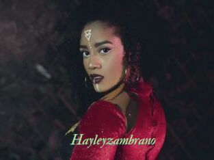 Hayleyzambrano