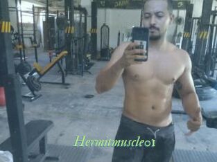 Hermitmuscle01