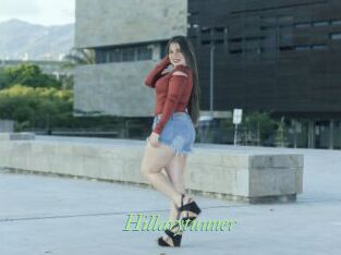 Hillarytunner