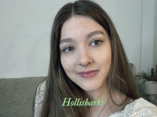 Hollisbarks