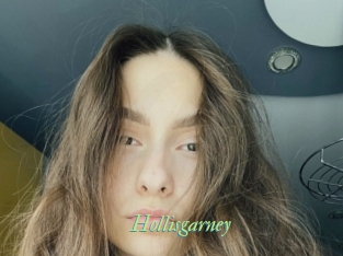 Hollisgarney