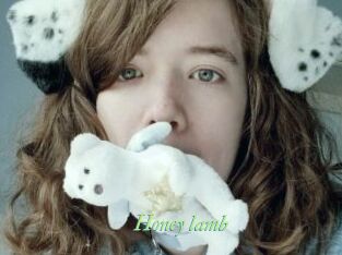Honey_lamb