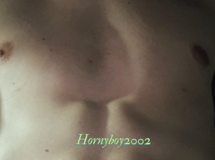Hornyboy2002