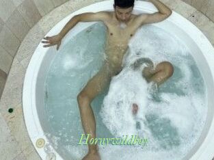 Hornywildboy
