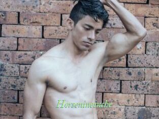 Horsenineinche